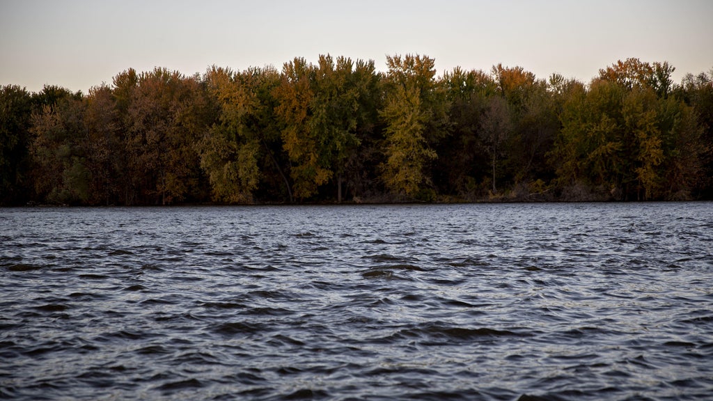 Watchdog says PFAS found in 100% of Minnesota water testing sites — WCCO / CBS Minnesota, Wayzata Health news