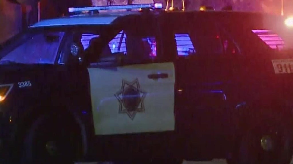 San Jose teens involved in traffic stop that preceded police shooting, attempted carjacking — CBS Bay Area (KPIX), Wayzata Schools news