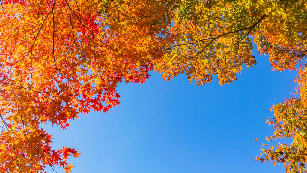 More near-record warmth Monday in Minnesota ahead of big cooldown — WCCO / CBS Minnesota, Wayzata Community news