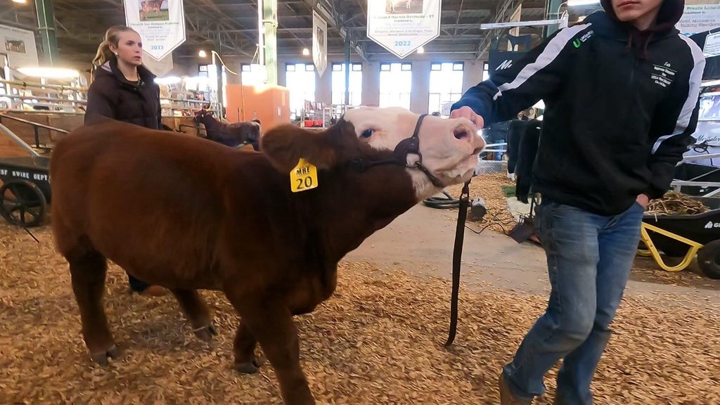 Spotlight on beef as Minnesota midterms near — WCCO / CBS Minnesota, Wayzata Community news