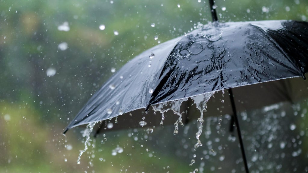 Widespread rain in Minnesota Monday; milder air returns Tuesday — WCCO / CBS Minnesota, Wayzata Community news