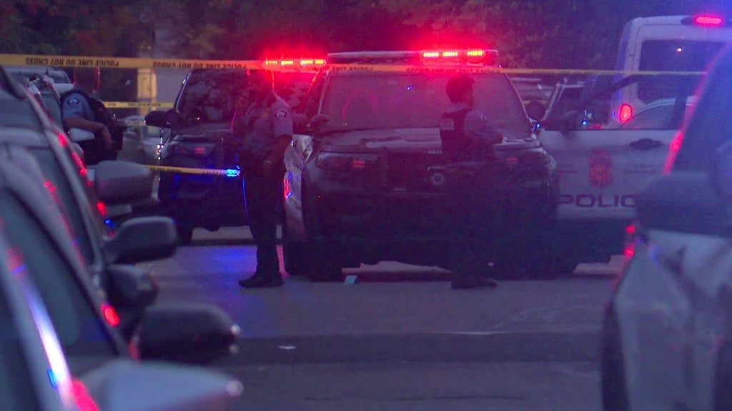 Officer fires gun after armed carjacking, squad car hit by stolen car — WCCO / CBS Minnesota, Wayzata Health news