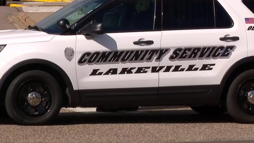 Lakeville man convicted of murdering sister, her unborn child in 2024 — WCCO / CBS Minnesota, Wayzata Community news