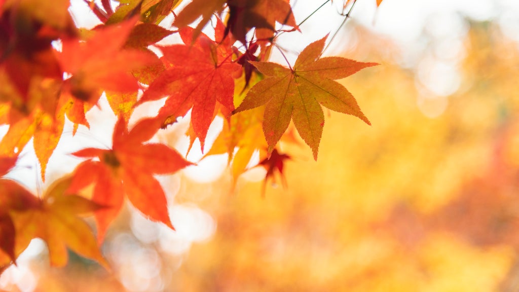 More sunny, mild late October weather in Minnesota Tuesday — WCCO / CBS Minnesota, Wayzata Business news