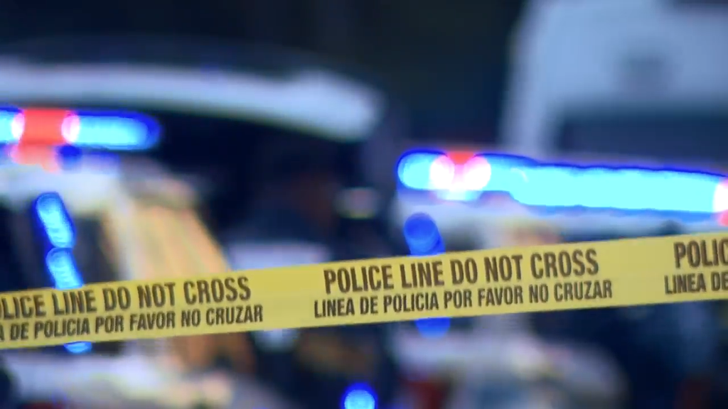 Man accused of stabbing, killing his own mother in Tamarac, BSO says — CBS Miami, Wayzata Health news