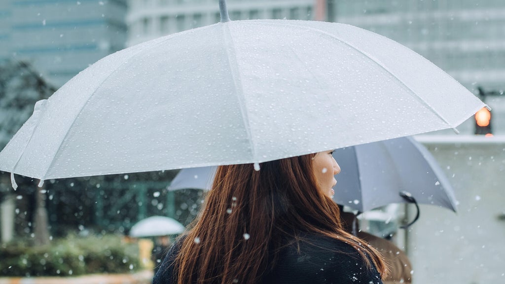 Soggy, chilly Thursday in the Twin Cities; season's first frost possible Saturday — WCCO / CBS Minnesota, Wayzata Sports news