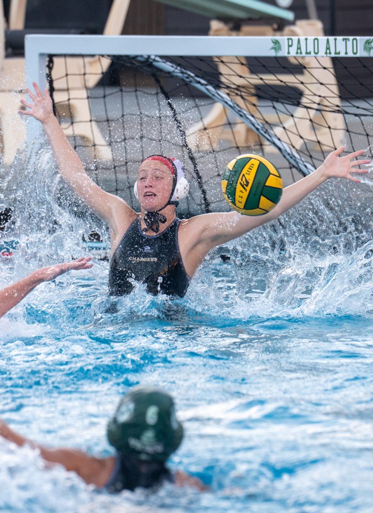 Wilcox Water Polo Caught in Vikings Rip Current — Silicon Valley Voice, Wayzata Sports news