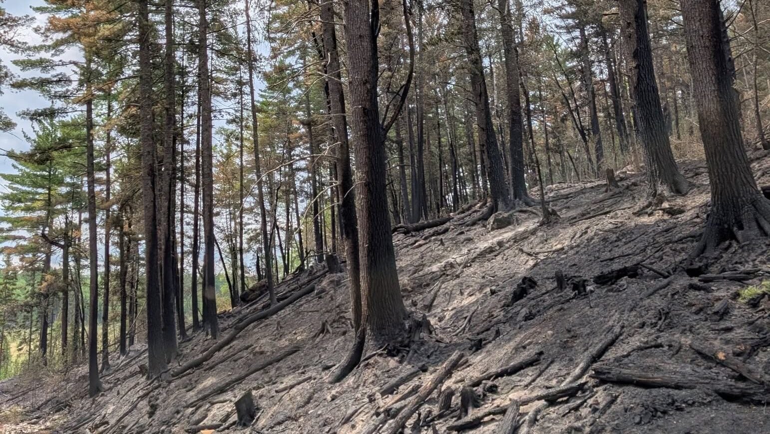 74-year-old who became separated from his family on a trail in Ely was discovered dead — KSTP 5, Wayzata Community news