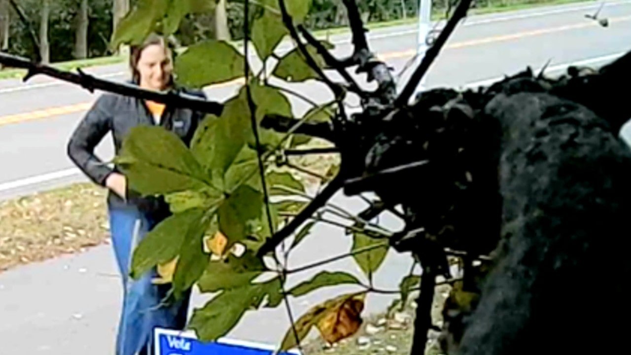 Video: Vadnais Heights council member removes mayoral candidate’s campaign sign, tosses it aside — KSTP 5, Wayzata Real Estate news
