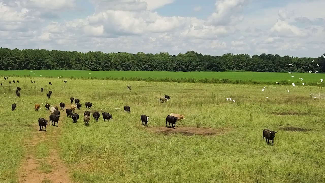 5 ON YOUR SIDE: Regenerative agriculture — Wayzata Health news