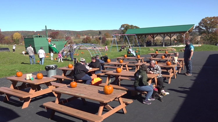 Outdoor festival in Columbia County brings together artists and businesses to connect with the community — WNEP 16 (Scranton/Wilkes-Barre), Wayzata Arts news