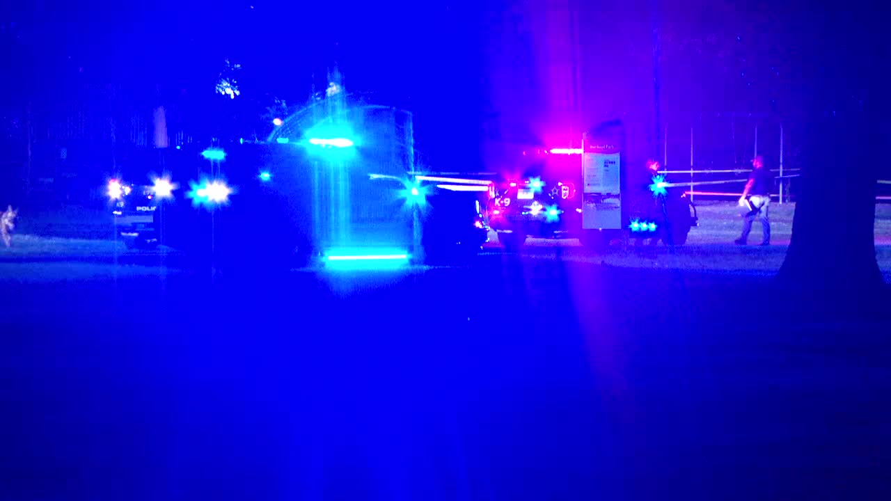 Brooklyn Park teen shooting suspect ordered to stand trial as adult — FOX 9, Wayzata Community news