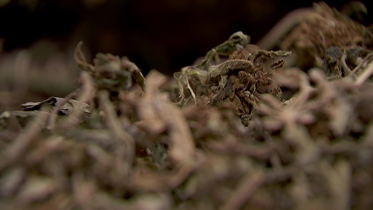 Hemp THC deadline hits $200 million industry, leads to layoffs, but liquor stores may maintain — FOX 9, Wayzata Business news