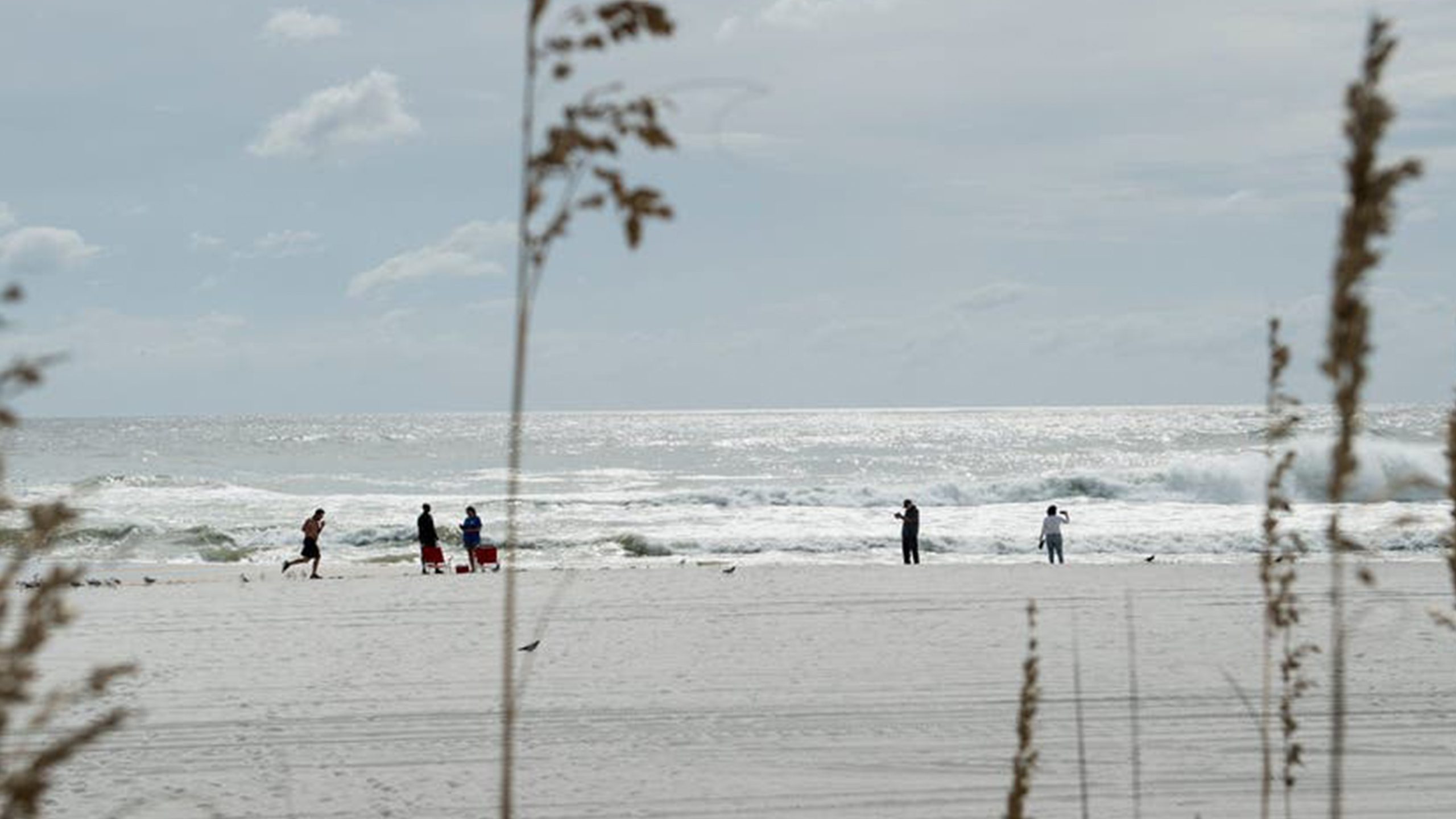 Father of 2 drowns after being caught in current trying to rescue seagull caught in fishing line — Wayzata Community news