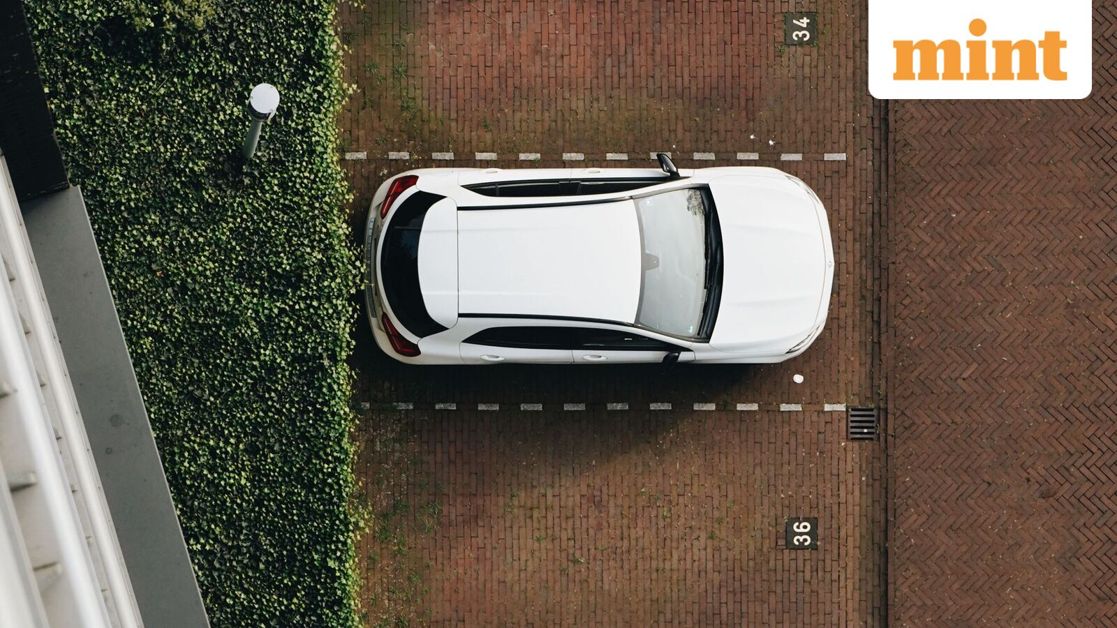 Smart investment or monopoly? Woman's ₹20 crore parking space bet sparks legal feud in China — Mint India, Wayzata Technology news