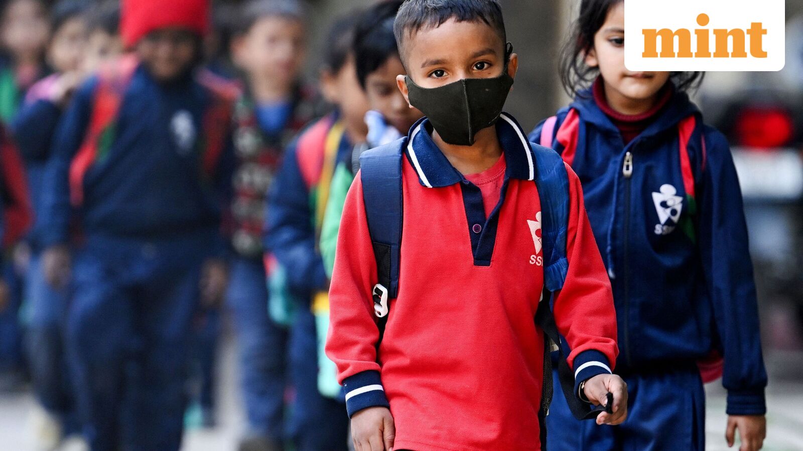 Chennai school holiday, Oct 21: Schools shut in four Tamil Nadu districts as heavy rains predicted | Check IMD alert — Mint India, Wayzata Schools news
